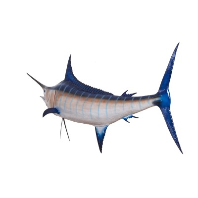 Réplica marina de MARLIN AZUL