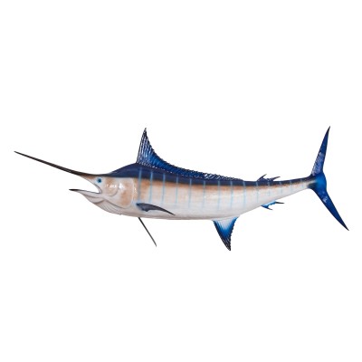 Réplica marina de MARLIN AZUL