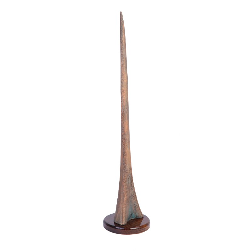 TROFEO DE PESCA - PICO MARLIN