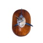 TROFEO DE PESCA - CABEZA DE MARLIN