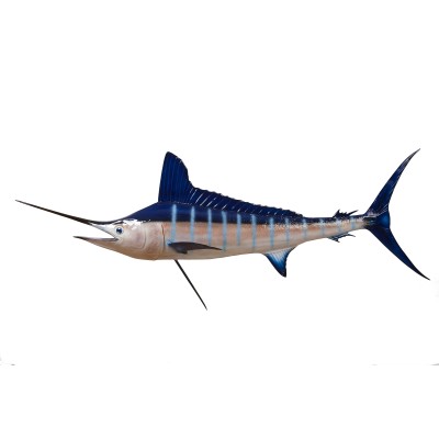 Réplica marina de MARLIN BLANCO