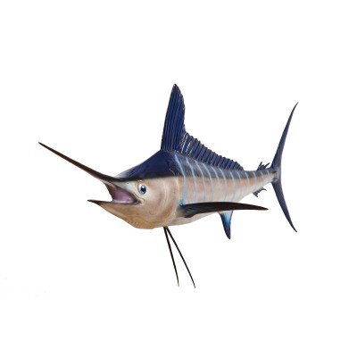 Réplica marina de MARLIN BLANCO
