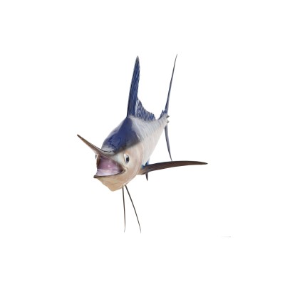Réplica marina de MARLIN BLANCO
