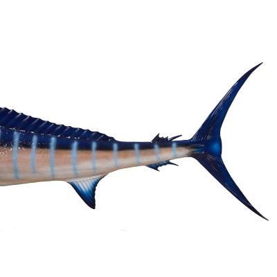 Réplica marina de MARLIN BLANCO