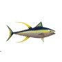 Réplica marina de ATUN DE ALETA AMARILLA
