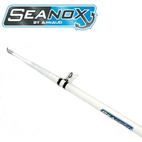 Tangón de fibra telescópico SEANOX AMIAUD 5 M