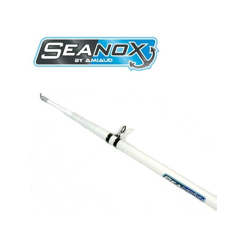 Tangón de fibra telescópico SEANOX AMIAUD 5 M