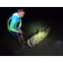 Bañador técnico OCEANS FISHING Mahi Storm talla 40
