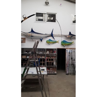 Caña de pesca MX Fishing rods  -  Evolution 50