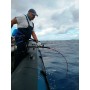 Caña de pesca MX Fishing rods  -  Evolution 150 new 2022