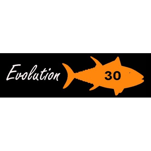Caña de pesca MX Fishing rods  -  Evolution 30 ELITE