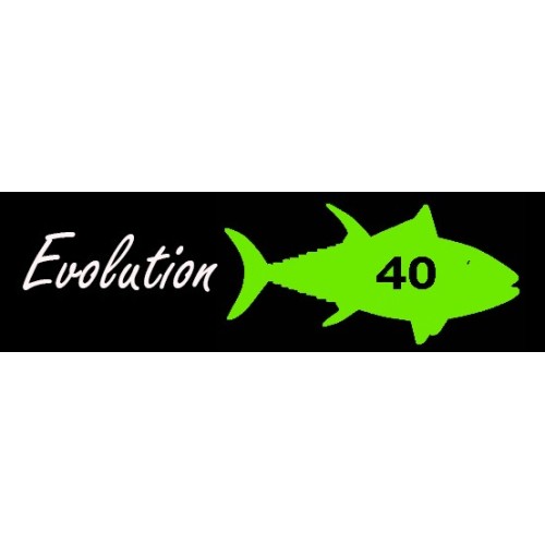 Caña de pesca MX Fishing rods  -  Evolution 40 ELITE