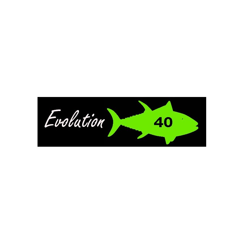 Caña de pesca MX Fishing rods  -  Evolution 40 ELITE