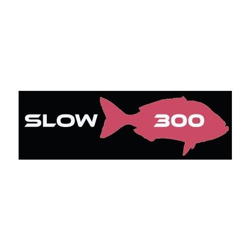 Caña de pesca MX Fishing rods - SLOW 300