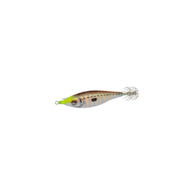 Jibionera DTD ZEBRA