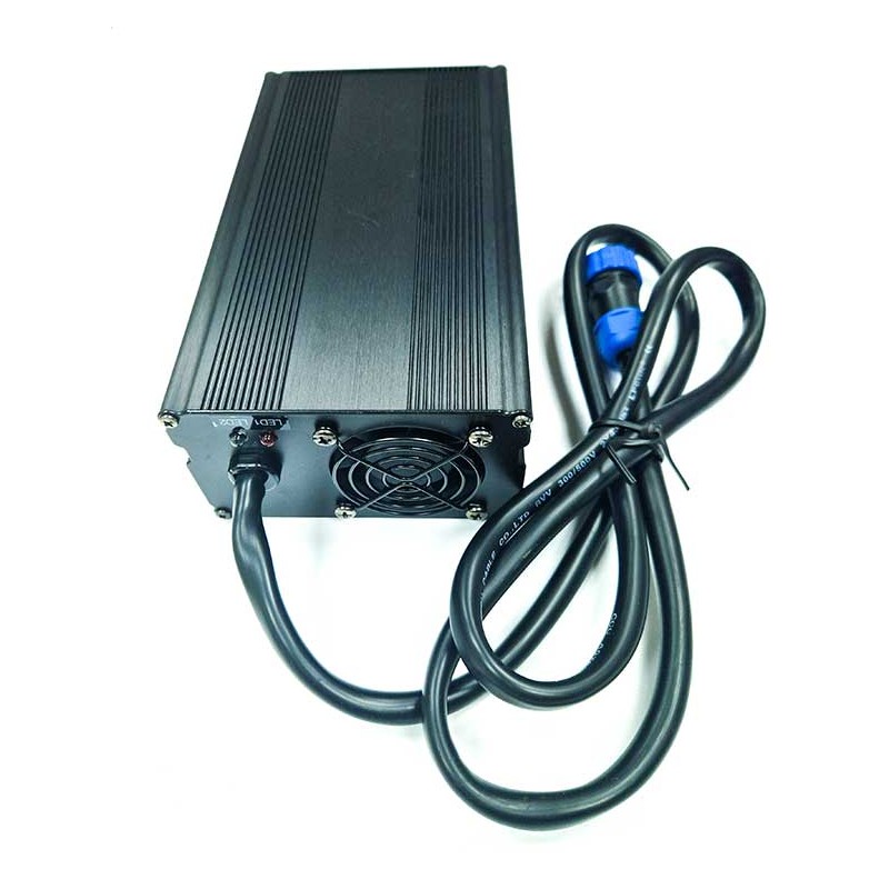 Cargador baterías litio 220-24V