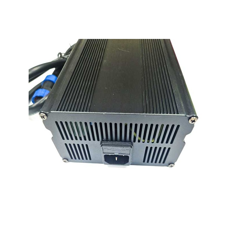 Cargador baterías litio 220-24V