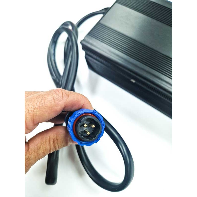 Cargador baterías litio 220-24V