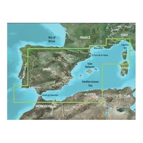 Carta nautica GARMIN VISION+