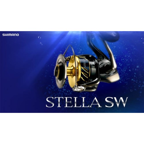 Carrete Shimano TWIN POWER SW 6000PG