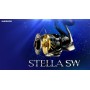 Carrete Shimano TWIN POWER SW 6000PG
