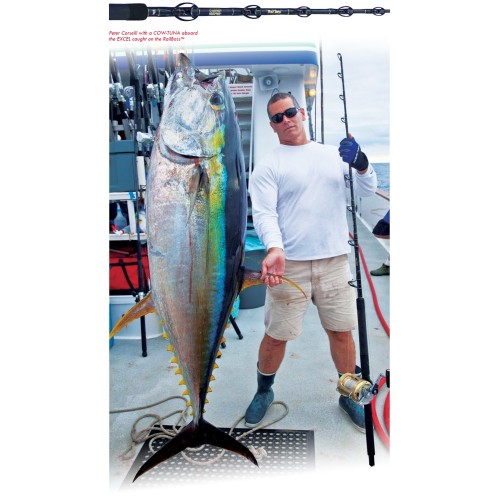 Caña SEEKER RAIL BOSS RR 50- 6 1/2' 40 (50) 60 lbs