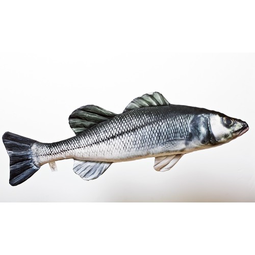 Cojín BLACK BASS