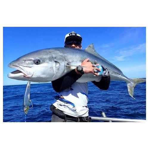 SEÑUELO NOMAD DESIGN RIPTIDE STICKBAITS 200MM