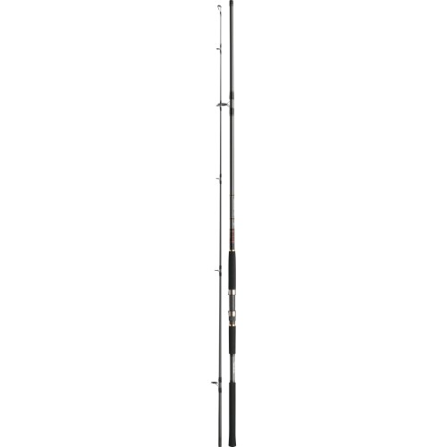 CAÑA DAIWA JIGCASTER 97 MH 