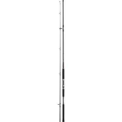 CAÑA DAIWA JIGCASTER 97 MH 