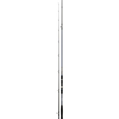 CAÑA DAIWA CROSSCAST S 1002 XHFS 