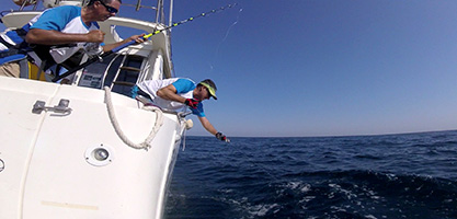 MX  Fishing Line