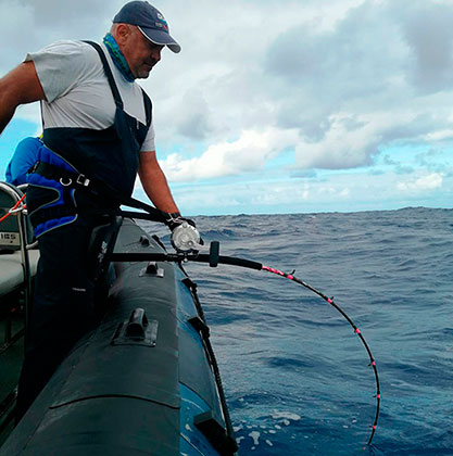 Cañas MX Fishing rods